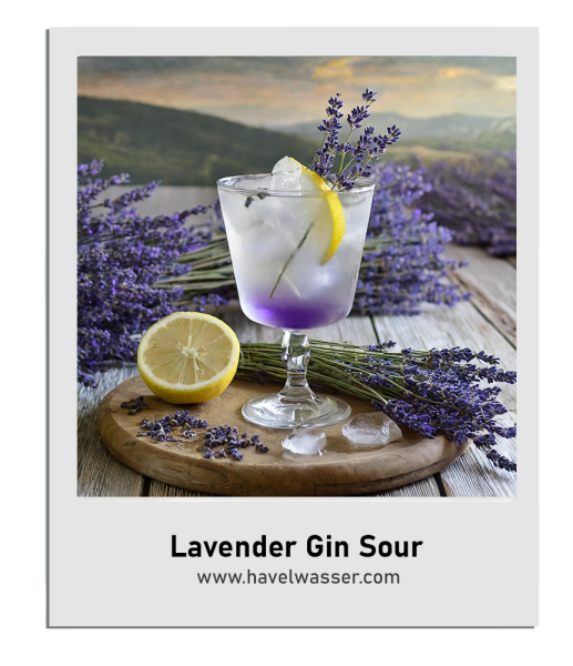 Woche24_LavenderGinSour